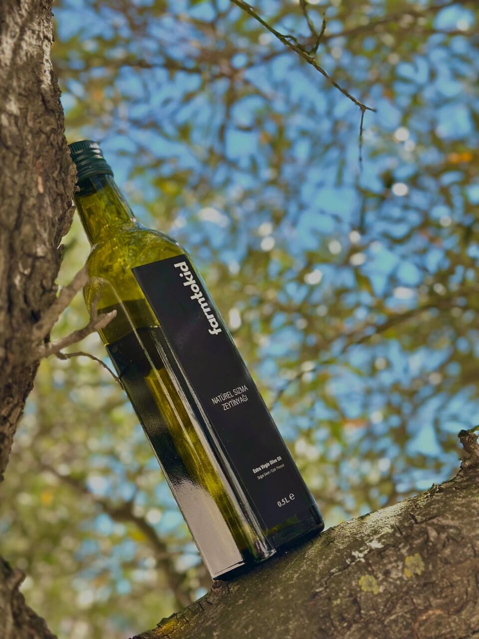 Gömeç’in Bereketiyle Şekillenen Saf Lezzet